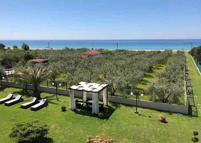 Pansion Argo * 尼亚·蒙达尼亚