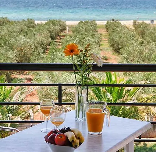 Pansion Argo ネア・ムダニア