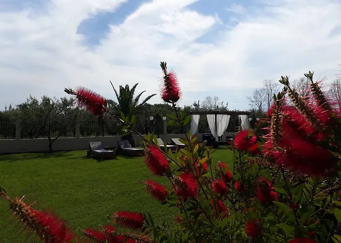 Pansion Argo * 尼亚·蒙达尼亚